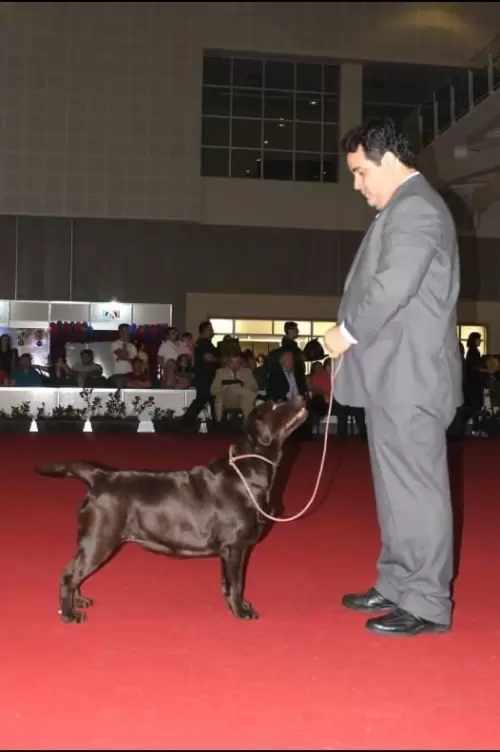 Elza of Lontras Labs