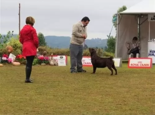 Elza of Lontras Labs