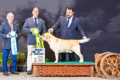 Carreras of Lontras Labs